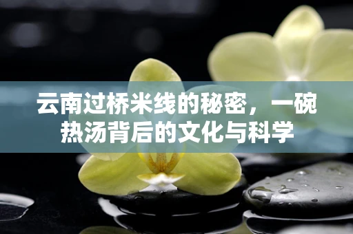 云南过桥米线的秘密，一碗热汤背后的文化与科学