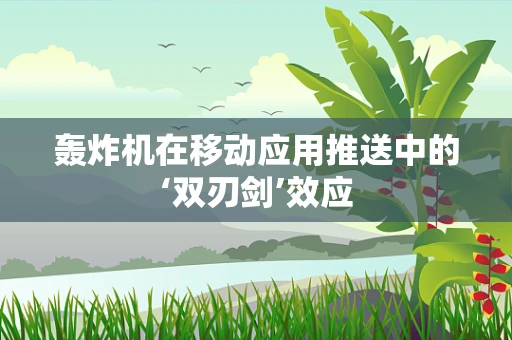 轰炸机在移动应用推送中的‘双刃剑’效应