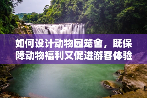如何设计动物园笼舍，既保障动物福利又促进游客体验？