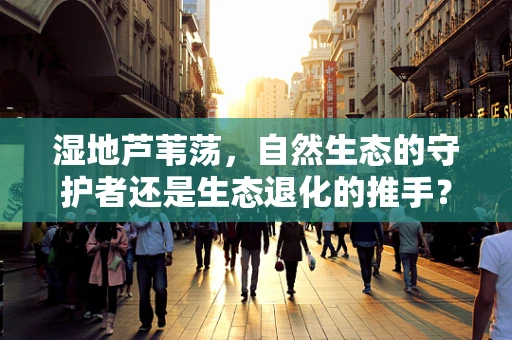 湿地芦苇荡，自然生态的守护者还是生态退化的推手？