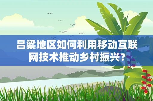 吕梁地区如何利用移动互联网技术推动乡村振兴？