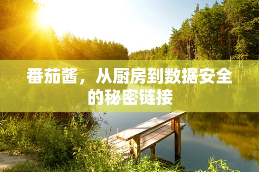 番茄酱，从厨房到数据安全的秘密链接