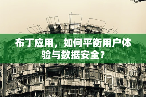 布丁应用，如何平衡用户体验与数据安全？