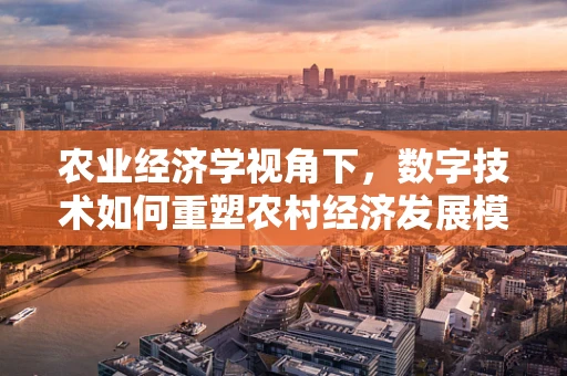 农业经济学视角下，数字技术如何重塑农村经济发展模式？