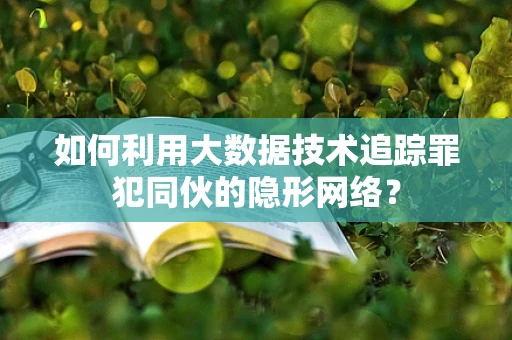 如何利用大数据技术追踪罪犯同伙的隐形网络？