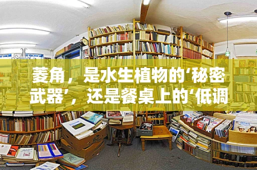 菱角，是水生植物的‘秘密武器’，还是餐桌上的‘低调贵族’？