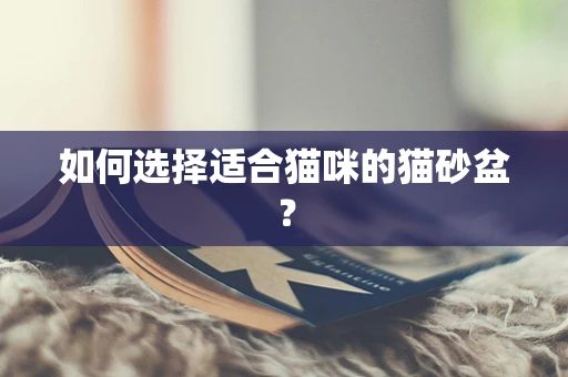 如何选择适合猫咪的猫砂盆？