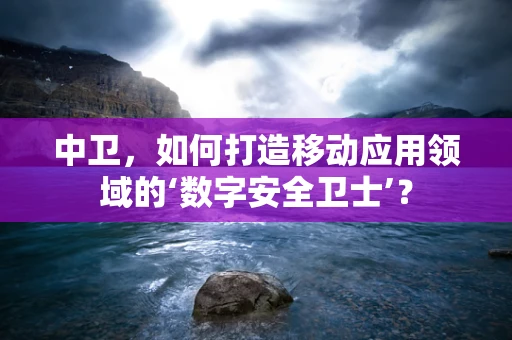 中卫，如何打造移动应用领域的‘数字安全卫士’？