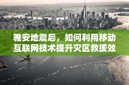 雅安地震后，如何利用移动互联网技术提升灾区救援效率？