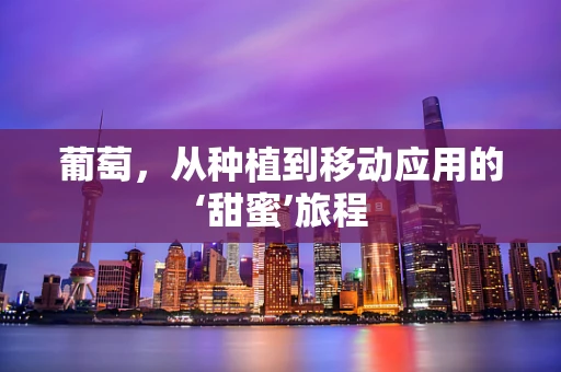 葡萄，从种植到移动应用的‘甜蜜’旅程