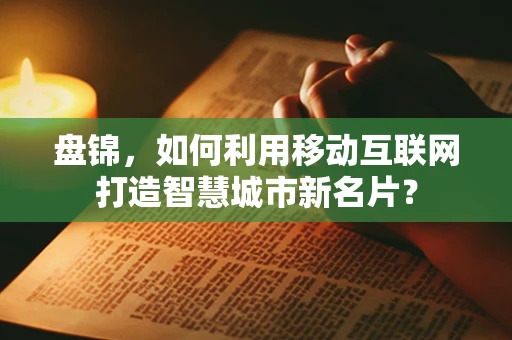 盘锦，如何利用移动互联网打造智慧城市新名片？