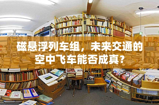 磁悬浮列车组，未来交通的空中飞车能否成真？