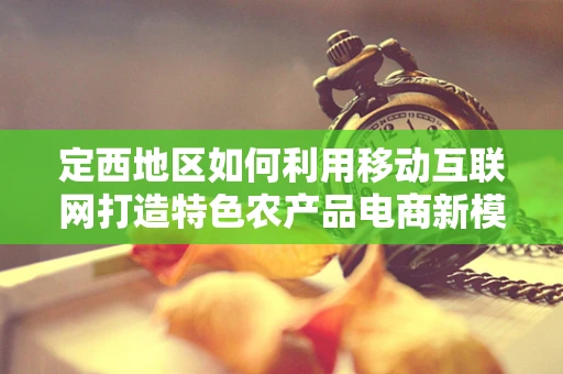 定西地区如何利用移动互联网打造特色农产品电商新模式？