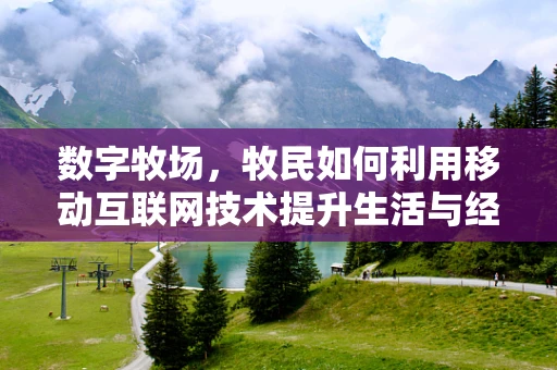 数字牧场，牧民如何利用移动互联网技术提升生活与经营效率？