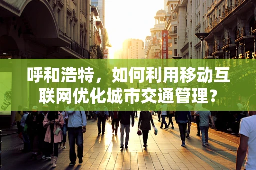 呼和浩特，如何利用移动互联网优化城市交通管理？