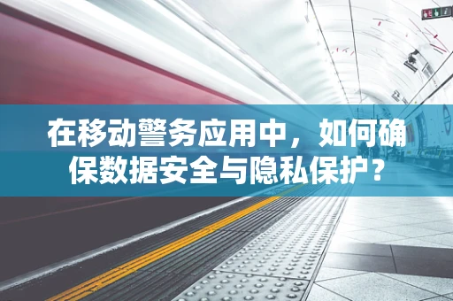 在移动警务应用中，如何确保数据安全与隐私保护？