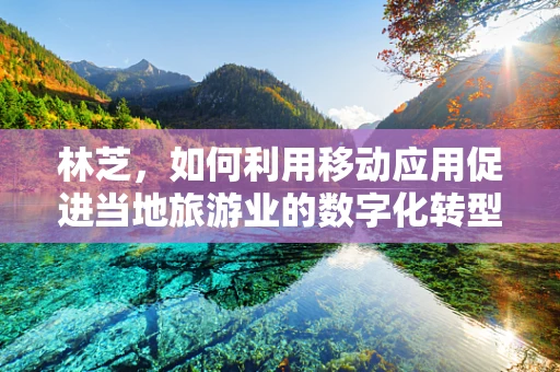 林芝，如何利用移动应用促进当地旅游业的数字化转型？