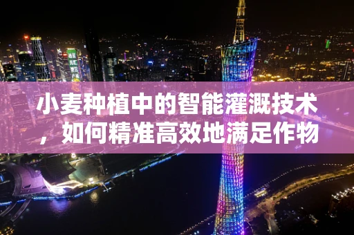 小麦种植中的智能灌溉技术，如何精准高效地满足作物需求？