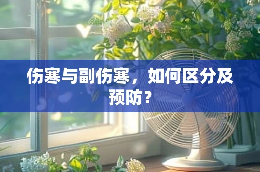 伤寒与副伤寒，如何区分及预防？