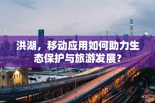 洪湖，移动应用如何助力生态保护与旅游发展？