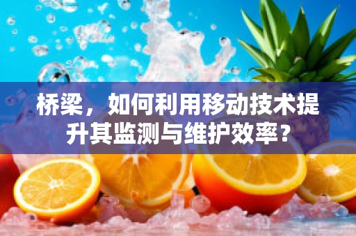 桥梁，如何利用移动技术提升其监测与维护效率？