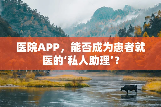 医院APP，能否成为患者就医的‘私人助理’？