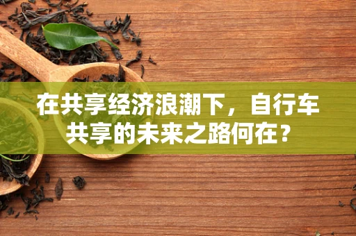 在共享经济浪潮下，自行车共享的未来之路何在？