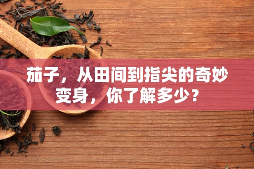 茄子，从田间到指尖的奇妙变身，你了解多少？