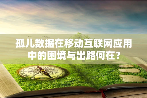 孤儿数据在移动互联网应用中的困境与出路何在？