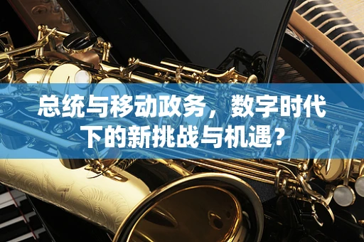总统与移动政务，数字时代下的新挑战与机遇？