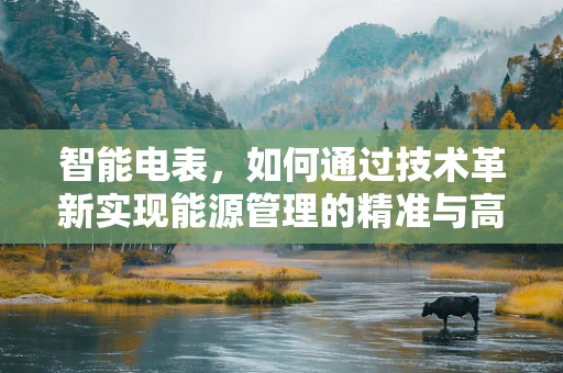 智能电表，如何通过技术革新实现能源管理的精准与高效？