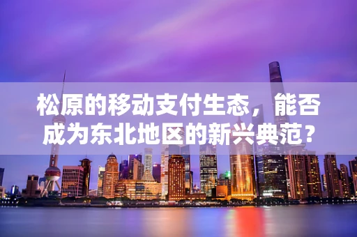 松原的移动支付生态，能否成为东北地区的新兴典范？