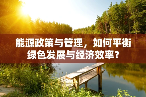 能源政策与管理，如何平衡绿色发展与经济效率？