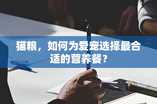 猫粮，如何为爱宠选择最合适的营养餐？