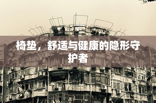 椅垫，舒适与健康的隐形守护者