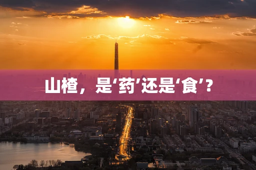 山楂，是‘药’还是‘食’？