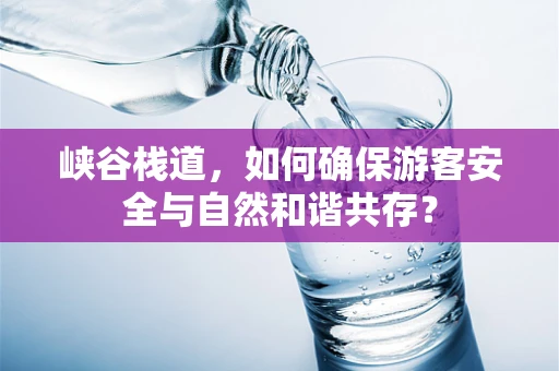 峡谷栈道，如何确保游客安全与自然和谐共存？