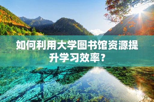 如何利用大学图书馆资源提升学习效率？