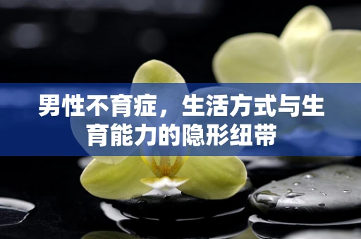 男性不育症，生活方式与生育能力的隐形纽带