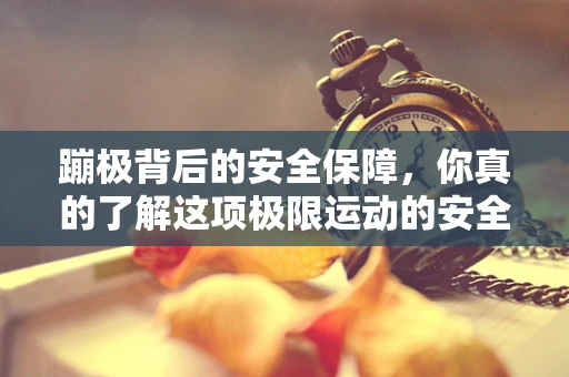蹦极背后的安全保障，你真的了解这项极限运动的安全密码吗？