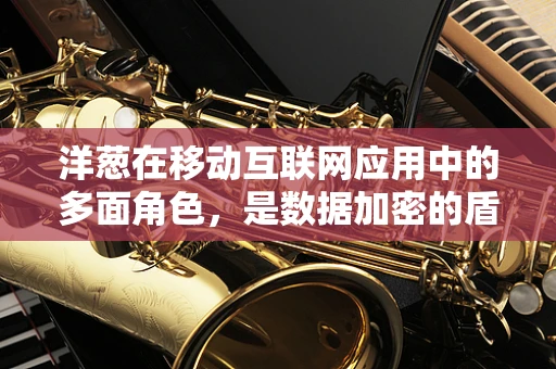 洋葱在移动互联网应用中的多面角色，是数据加密的盾牌，还是内容推荐的秘密武器？