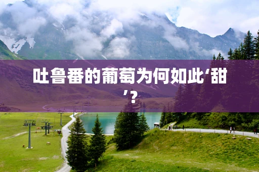吐鲁番的葡萄为何如此‘甜’？