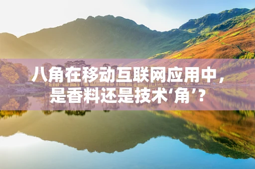 八角在移动互联网应用中，是香料还是技术‘角’？