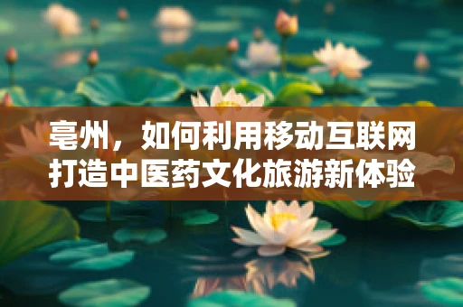 亳州，如何利用移动互联网打造中医药文化旅游新体验？
