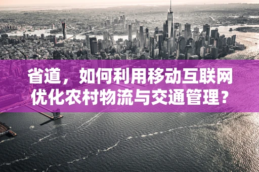 省道，如何利用移动互联网优化农村物流与交通管理？