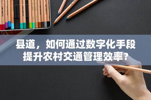 县道，如何通过数字化手段提升农村交通管理效率？