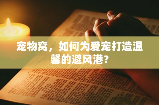 宠物窝，如何为爱宠打造温馨的避风港？
