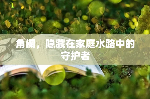 角阀，隐藏在家庭水路中的守护者