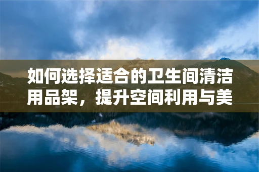 如何选择适合的卫生间清洁用品架，提升空间利用与美观度？