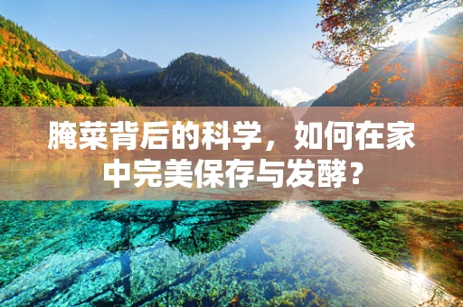 腌菜背后的科学，如何在家中完美保存与发酵？
